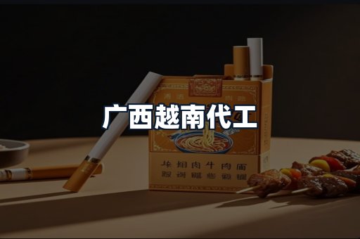 广西越南代工